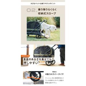 エアバギー AIR CRUISER SET【ベ...の詳細画像3