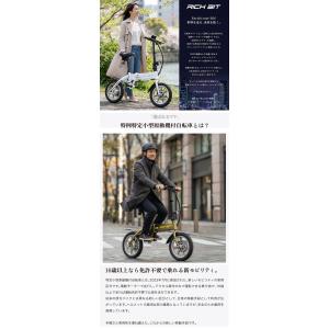 特定小型原動機付自転車RICHBIT CITY...の詳細画像1