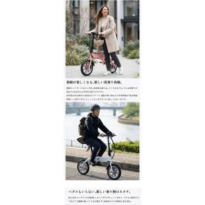 特定小型原動機付自転車RICHBIT CITY...の詳細画像2