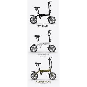 特定小型原動機付自転車RICHBIT CITY...の詳細画像5