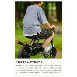 EVEREST XING emove 子供用 ...の詳細画像4