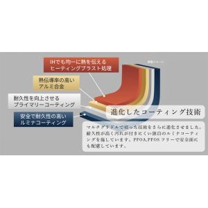 DISHGRILL ディッシュグリル 取っ手着...の詳細画像4