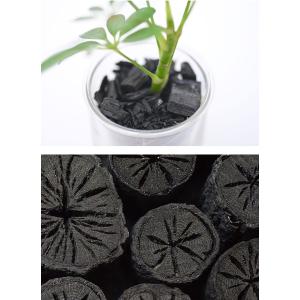 SUMINO 炭の樹 やまが炭 観葉植物 植物...の詳細画像3