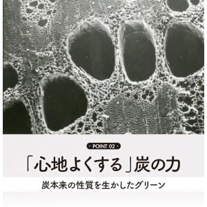SUMINO 炭の樹 やまが炭 観葉植物 植物...の詳細画像4