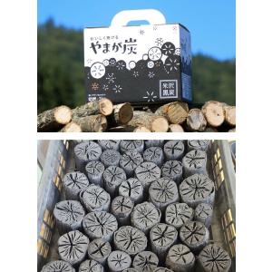 SUMINO 炭の樹 やまが炭 観葉植物 植物...の詳細画像5