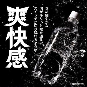 炭酸水 1L 15本 強炭酸水 ラベルレス プ...の詳細画像4