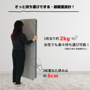 パーテーション 衝立 パーティション クロスZ...の詳細画像5