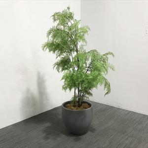 フェイクグリーン アジアンタム 観葉植物 人工 幅950 奥1040 高1900 中古 AF-863036B｜office-t