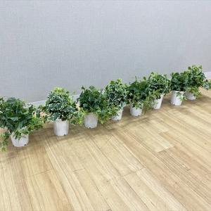 オカムラ フラワーボックス ブレスタ プラント...の詳細画像3