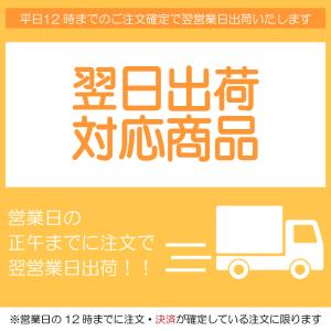 コンパクトオーディオミキサー パナソニック R...の詳細画像5