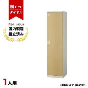 生興 パーソナル ロッカー 4人用 2列4段 鍵付き スチールロッカー ALZ