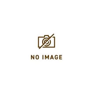 非常解除キー ZB-F04979N