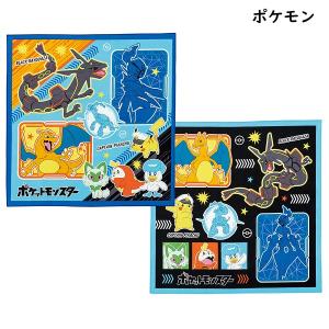 ランチクロス2枚組 ポケモン ナフキン ポケッ...の詳細画像3