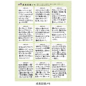 メール便送料無料 ベビーダイアリー A5サイズ...の詳細画像4