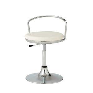 患者用椅子 円盤脚 背パイプ付 ノーリツイス TSM-M113L-Z