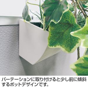 ベルク フェイクグリーン インテリアグリーン ...の詳細画像3