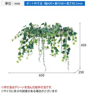 ベルク フェイクグリーン インテリアグリーン ...の詳細画像5