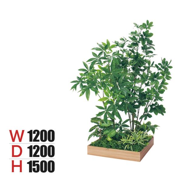 ベルク 土台プランター 600角 パキラ＆シェフレラ 国産 テーブル樹木 人工観葉植物 フェイクグリ...