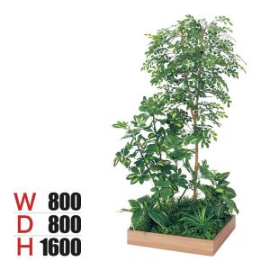ベルク 土台プランター 600角 トネリコ＆シェフレラ 国産 テーブル樹木 人工観葉植物 フェイクグリーン GR5134 幅800×奥行800×高さ1600mm オフィス 休憩室