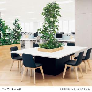 ベルク 土台プランター 600角 トネリコ&シ...の詳細画像3