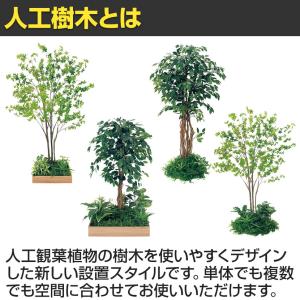 ベルク 土台プランター 600角 トネリコ&シ...の詳細画像4