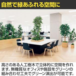 ベルク 土台プランター 600角 トネリコ&シ...の詳細画像5
