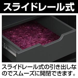 ディプロマット 耐火金庫 プレミアムセーフ P...の詳細画像4