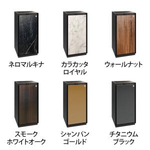 ディプロマット 耐火金庫 プレミアムセーフ P...の詳細画像1