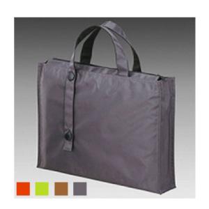 キャリングバッグ 2ウェイタイプ B4 厚さ80 耐荷重7kg 1冊 LIHIT LAB./EC-A...