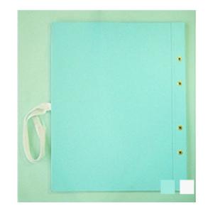 のび〜るファイル A4 表紙ひも付き 背幅最大113mm タテ型 4穴 1冊 セキセイ/EC-AE-...