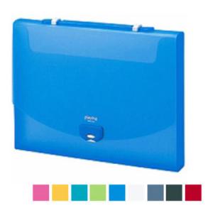 プレイング2ウェイケース 取っ手付 A4 厚さ40 耐荷重5kg 1冊 セキセイ/EC-AP-952