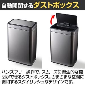 EKO ゴミ箱 50L ダストボックス メリデ...の詳細画像4