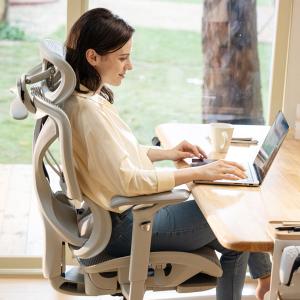 COFO Chair Pro 2 ワークチェア...の詳細画像3