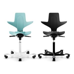 CP-8010 オフィスチェア HAG Capisco Puls ホーグ カピスコ パルス 樹脂タイプ フットサポート ワーキングチェア エルゴノミクスチェア 人間工学 プラス(PLUS)