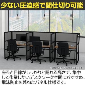 日本製 Garage(ガラージ) PALASS...の詳細画像5