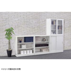 スチール書庫 TSシリーズ スチール引戸書庫(...の詳細画像5