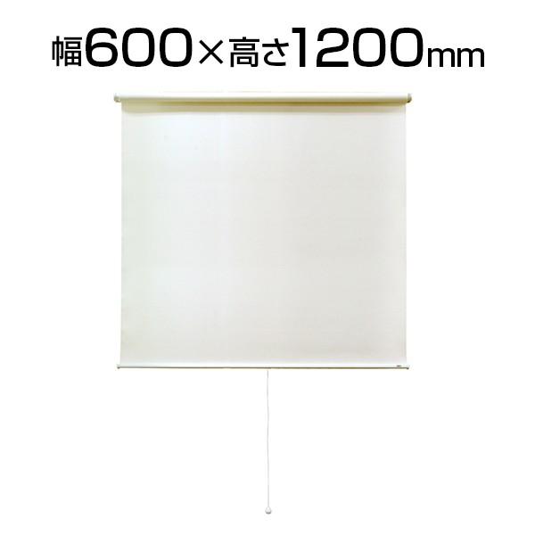 シングルロールスクリーン ビスタイプ 幅600mm×高さ1200mm ビス取り付け スプリング巻き上...