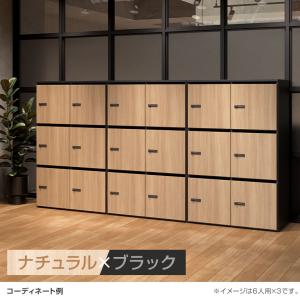 ナチュラルxブラック入荷未定 法人様限定 NF...の詳細画像3