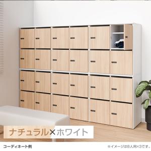 ナチュラルxブラック入荷未定 法人様限定 NF...の詳細画像4