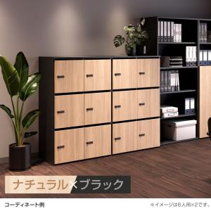 ナチュラルxブラック入荷未定 法人様限定 NF...の詳細画像5