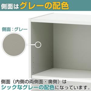 法人様限定 キャビネット ペスパ オープンラッ...の詳細画像5