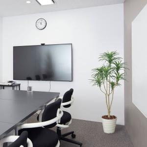 アートクリエイション 観葉植物 ユッカ フェイ...の詳細画像1