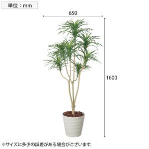 アートクリエイション 観葉植物 ユッカ フェイ...の詳細画像2