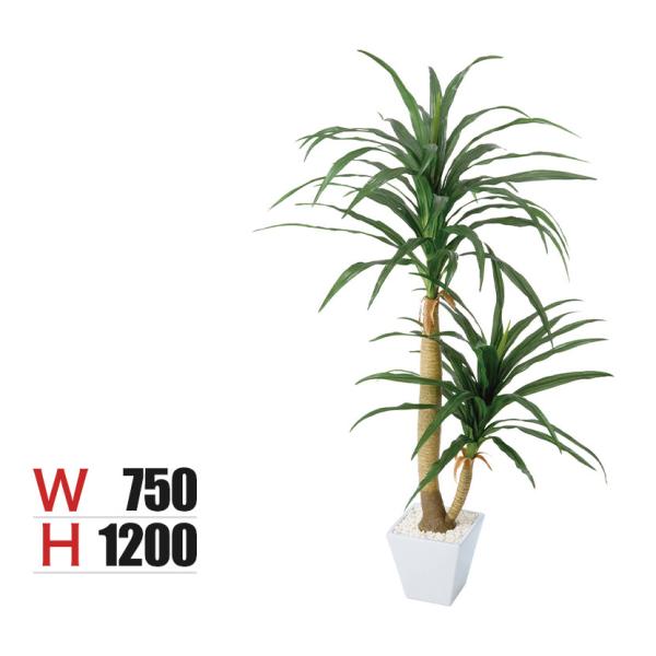 ポピー 観葉植物 ドラセナコンシナポット フェイクグリーン GLA-1199