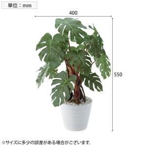ポピー 観葉植物 モンステラポット フェイクグ...の詳細画像2