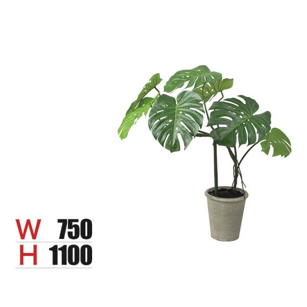 ポピー 観葉植物 モンステラポット フェイクグリーン GLA-1548NGR