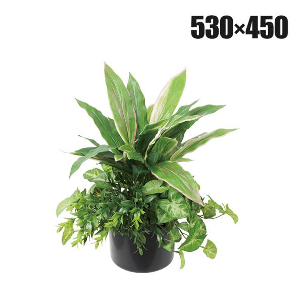 ポピー 観葉植物 人工樹木 ドラセナミックスグリーンポット 卓上グリーンポット 幅530×全長450...