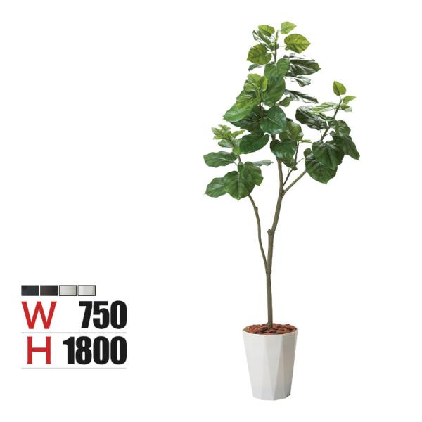 ポピー 観葉植物 ウンベラータポット フェイクグリーン 全長1800mm GLPS-1498