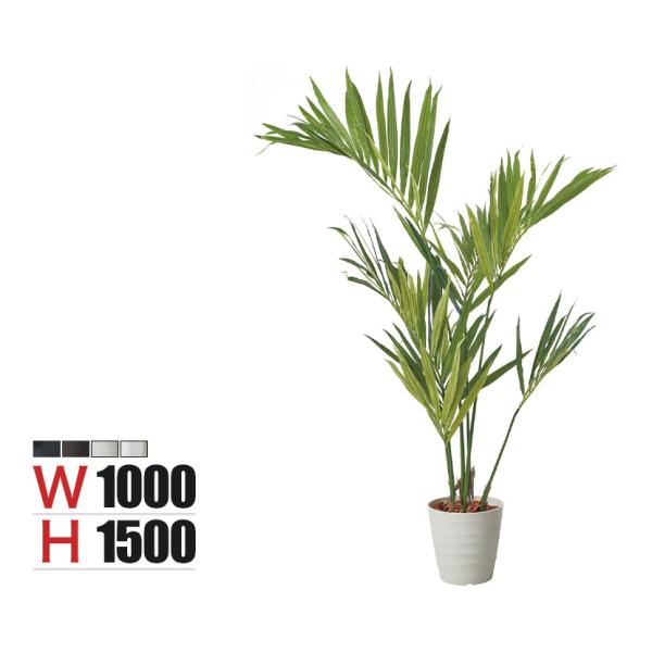 ポピー 観葉植物 ケンチャヤシポット フェイクグリーン 全長1500mm GLPS-1528