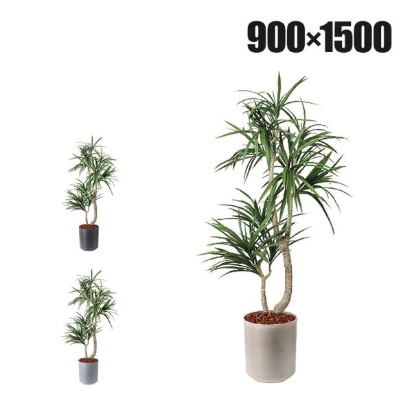 ポピー 観葉植物 人工樹木 クラスタードラセナ 日本製 国産 幅900×全長1500mm フェイクグ...